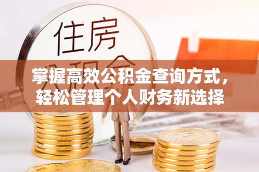 许昌掌握高效公积金查询方式，轻松管理个人财务新选择