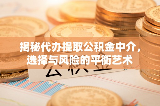 许昌揭秘代办提取公积金中介，选择与风险的平衡艺术