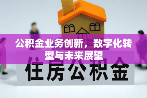 许昌公积金业务创新，数字化转型与未来展望