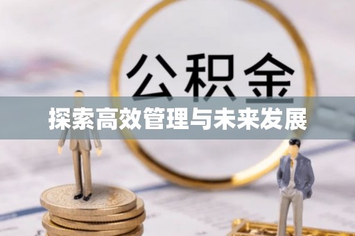 许昌探索高效管理与未来发展
