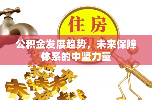 许昌公积金发展趋势，未来保障体系的中坚力量